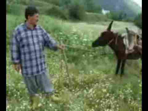 Eşşeği Tarafından Kolu Parçalanan Vatandaşımız