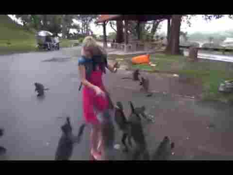 Güzel Kız Hayvanlara Muz Verirken Az Kalsın İzdiham Yaşanıyordu