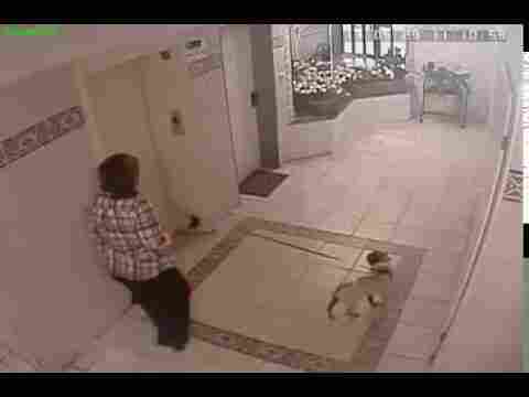 Kadının Bir Anlık Dalgınlığı Az Kalsın Köpeğinin Feci Ölümüne Neden Olacaktı