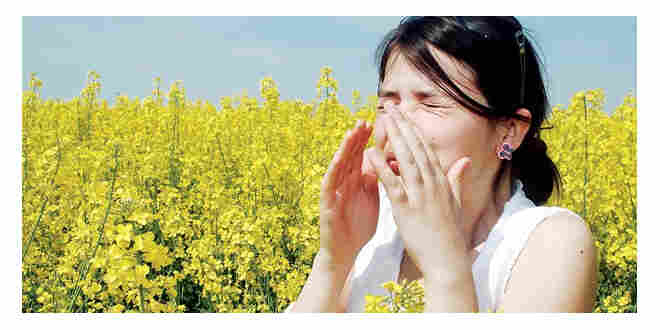 Mevsimsel alerjilere dikkat